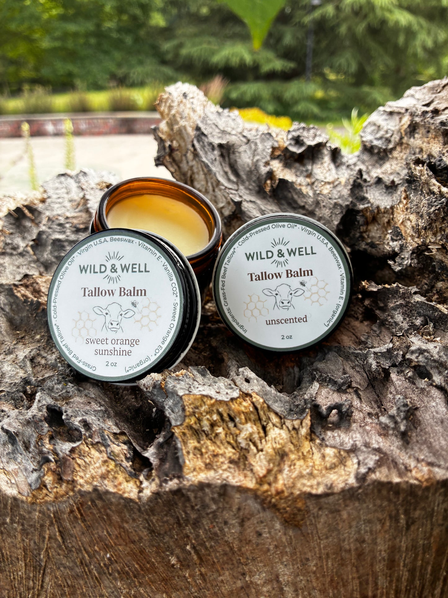 Tallow Balm | Face + Body Moisturizer