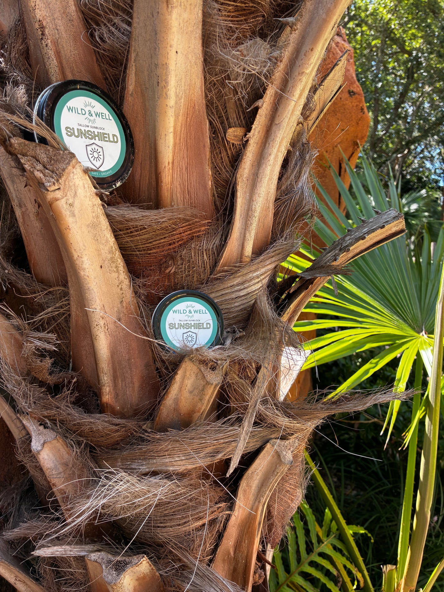 Sunshield | Mineral Sun Balm