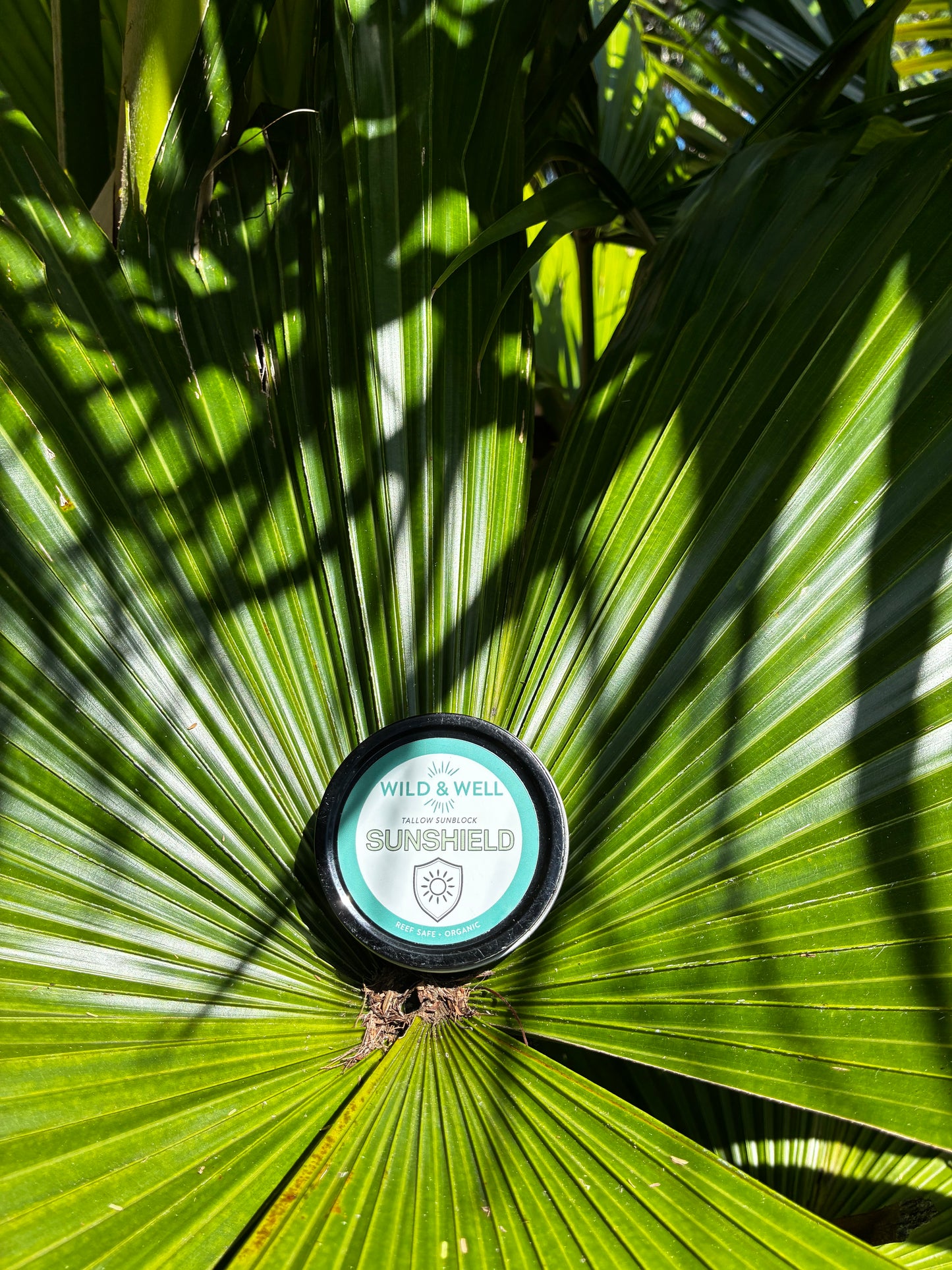 Sunshield | Mineral Sun Balm