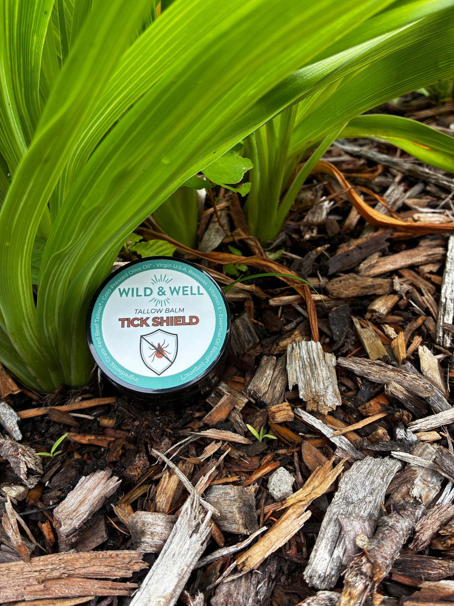 Tick Shield | Botanical Outdoor Balm