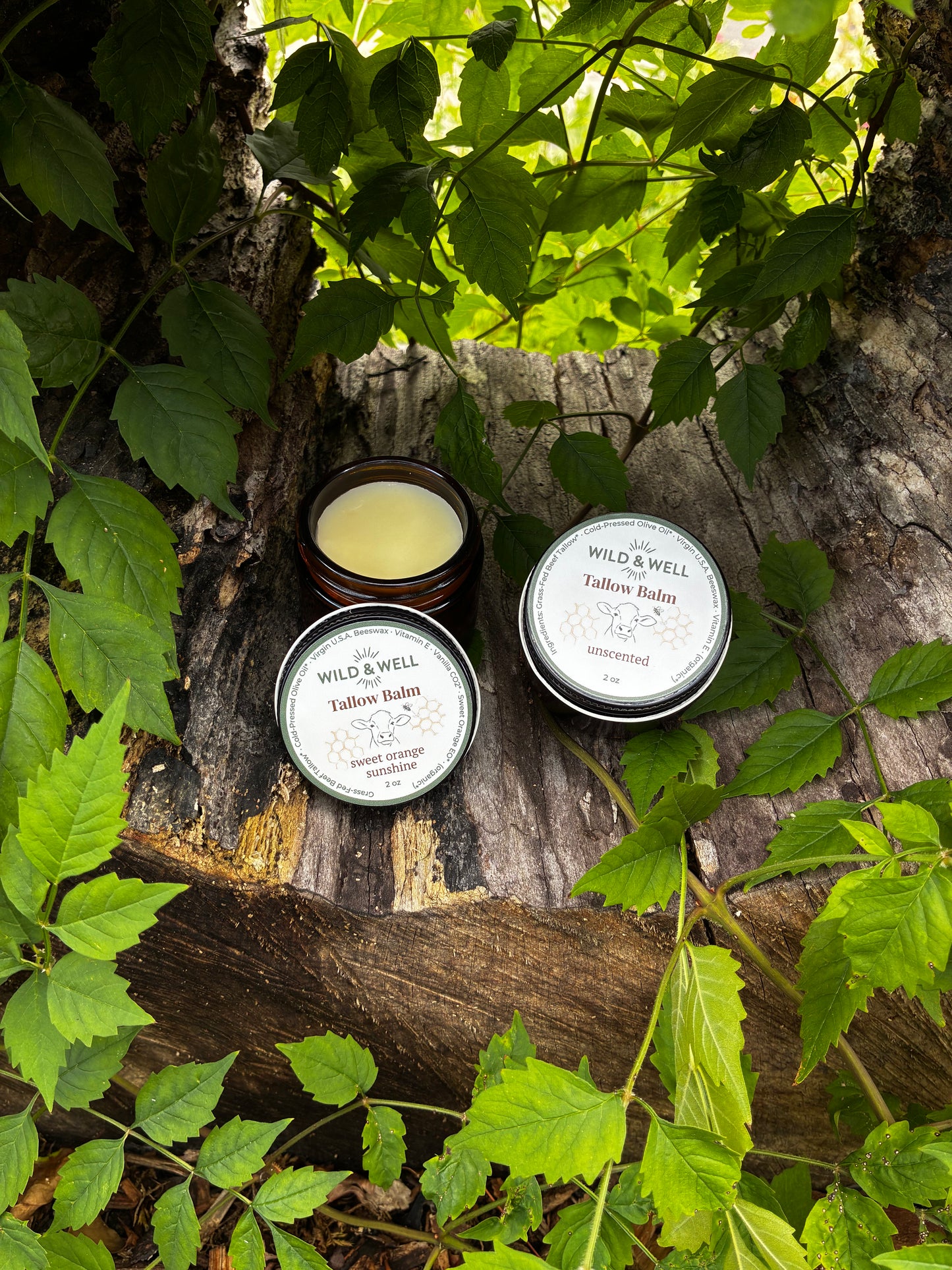 Tallow Balm | Face + Body Moisturizer