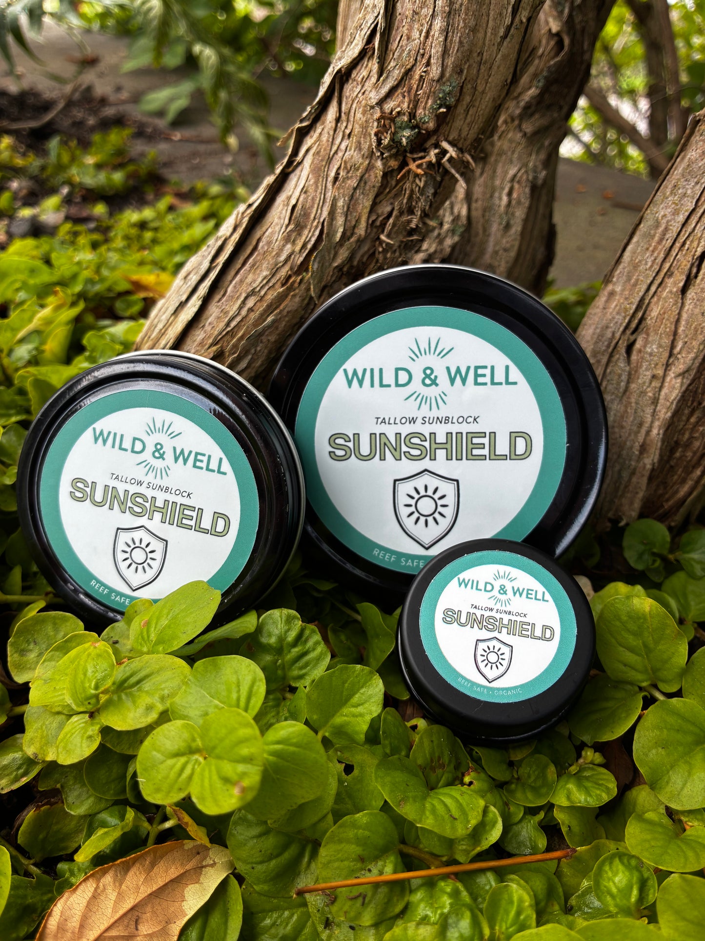 Sunshield mineral balm with non-nano zinc oxide